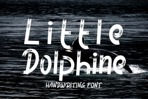 Little Dolphine Font Review for Campaign Creators