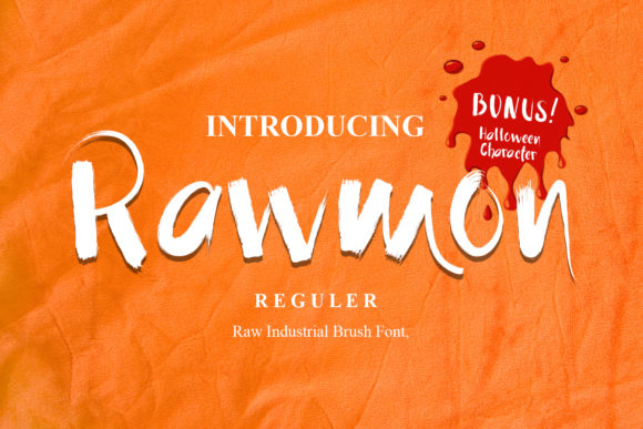 Rawmon: The Hybrid Display Font for Editorial Authenticity